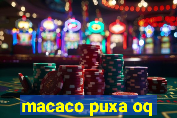 macaco puxa oq